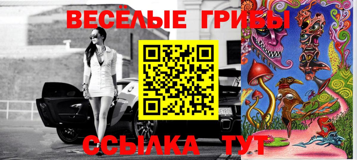 Псилоцибиновые грибы Psilocybe Калач-на-Дону